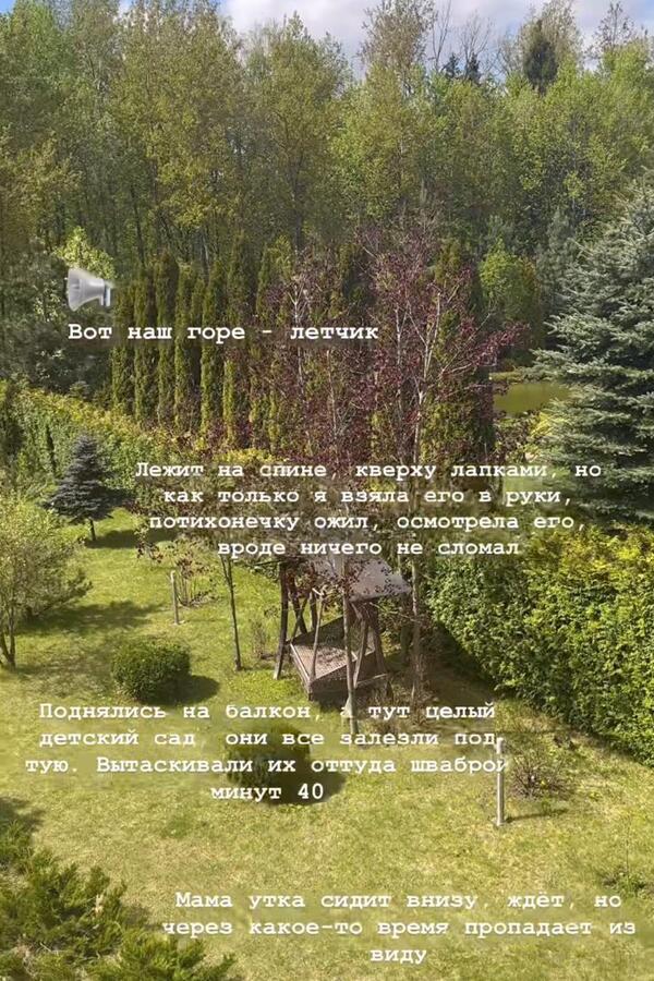 Загородный дом Анны Заворотнюк