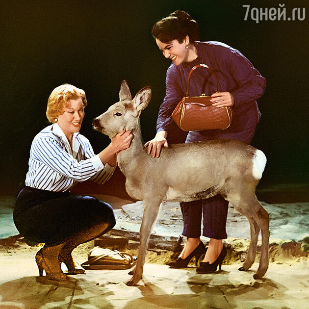 квартира элины быстрицкой в леонтьевском переулке. Смотреть фото квартира элины быстрицкой в леонтьевском переулке. Смотреть картинку квартира элины быстрицкой в леонтьевском переулке. Картинка про квартира элины быстрицкой в леонтьевском переулке. Фото квартира элины быстрицкой в леонтьевском переулке