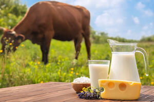 «Пальма» против коровы: зачем в молочку добавляют растительные жиры