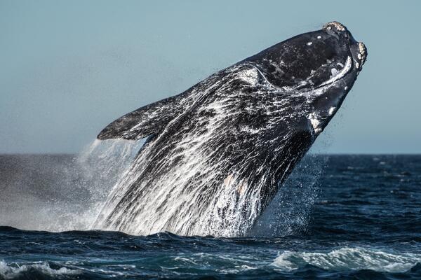 23 июля: какой сегодня праздник?