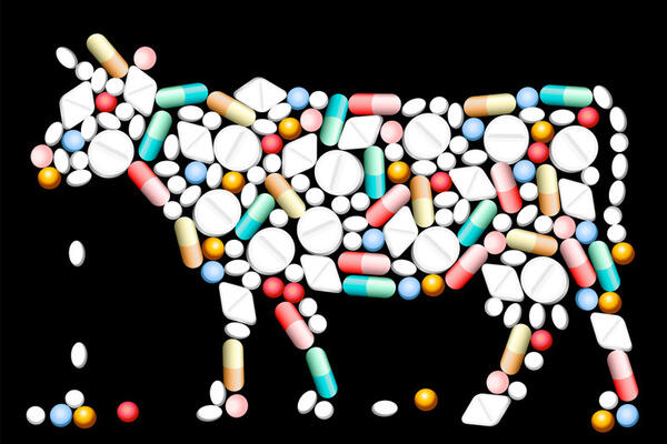 Молоко и мясо: какие еще продукты вызывают устойчивость к антибиотикам