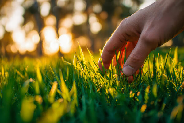Скоро весна: почему нам всем нужно будет «потрогать траву»