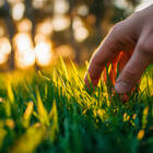 Скоро весна: почему нам всем нужно будет «потрогать траву»