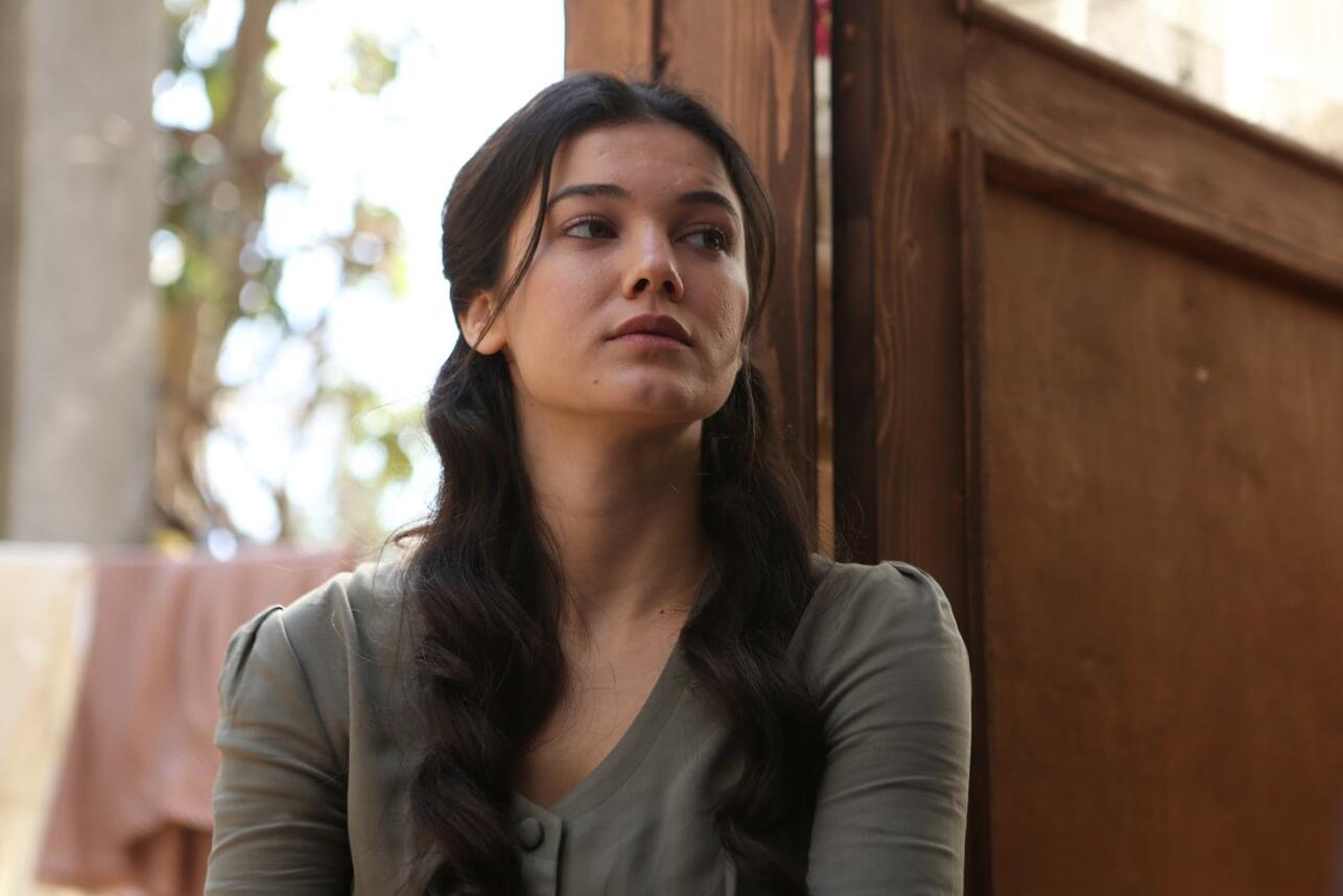 Пынар Дениз фото