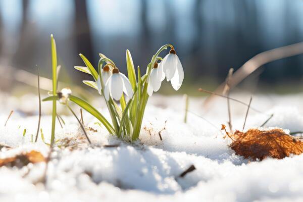 1 марта: какой сегодня праздник?