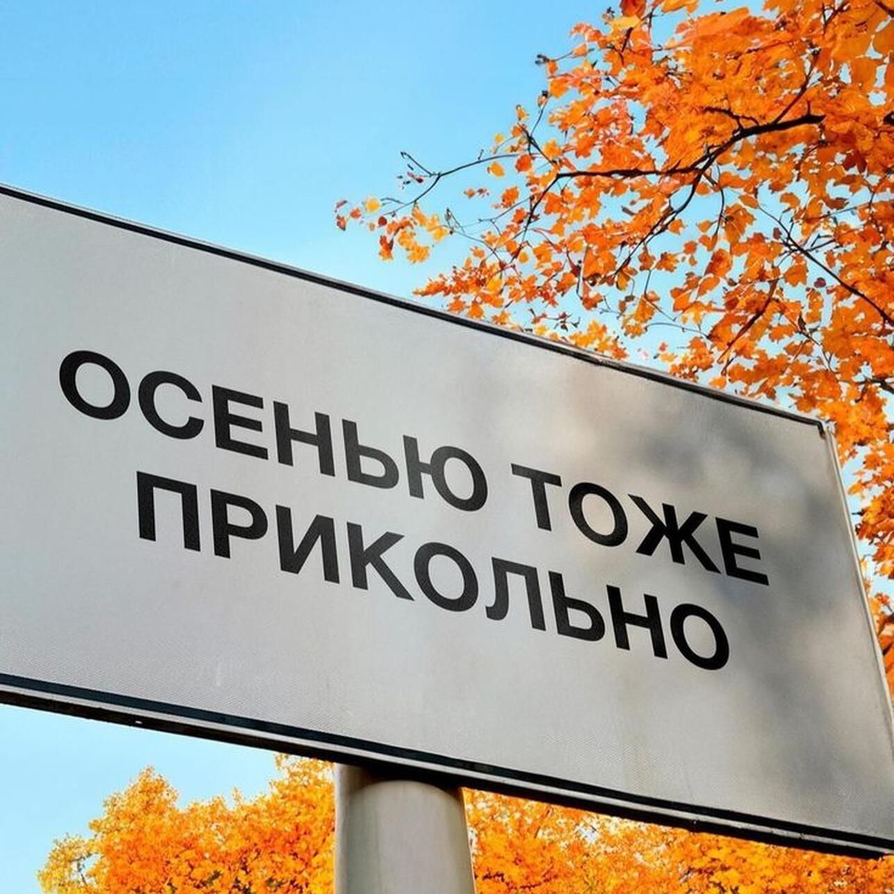 картинки про осень, мемы про осень, приколы про осень, осенние мемы, осенние картинки, юмор про осень