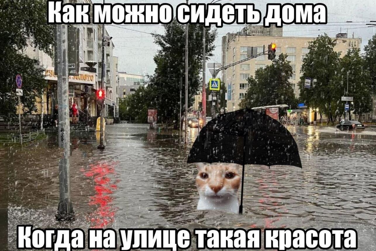 картинки про осень, мемы про осень, приколы про осень, осенние мемы, осенние картинки, юмор про осень