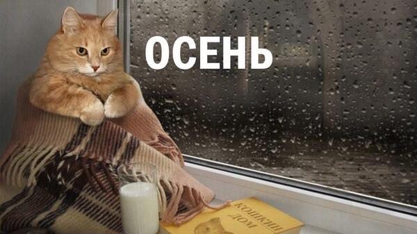 Осень наступила… на нас: 20 мемов и картинок, в которых каждый узнает себя
