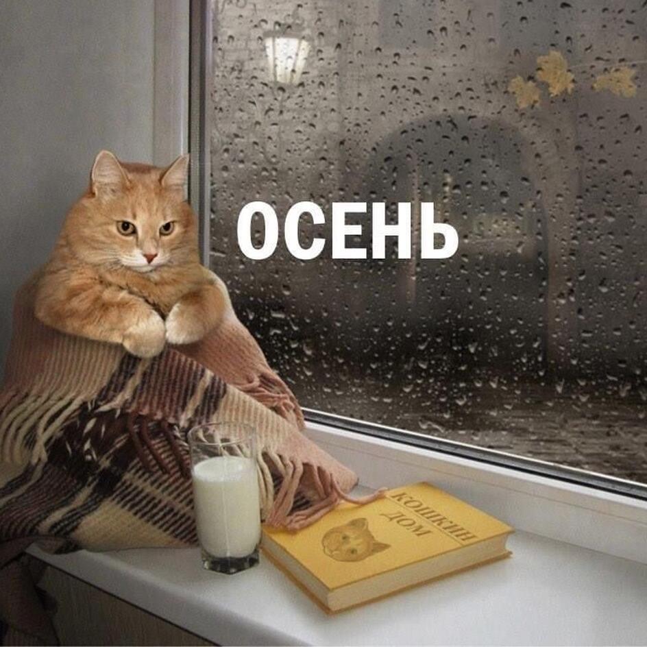 Осень наступила… на нас: 20 мемов и картинок, в которых каждый узнает себя