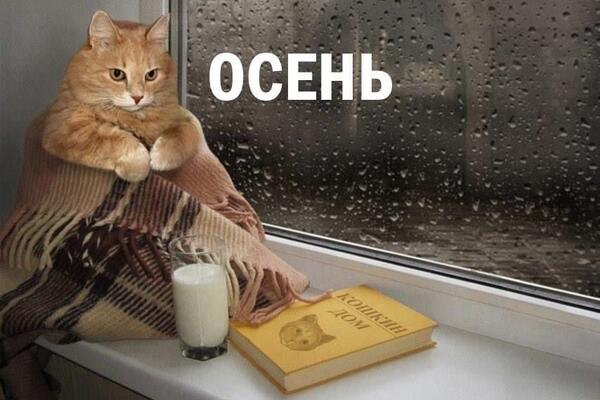 Осень наступила… на нас: 20 мемов и картинок, в которых каждый узнает себя