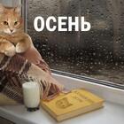 Осень наступила… на нас: 20 мемов и картинок, в которых каждый узнает себя