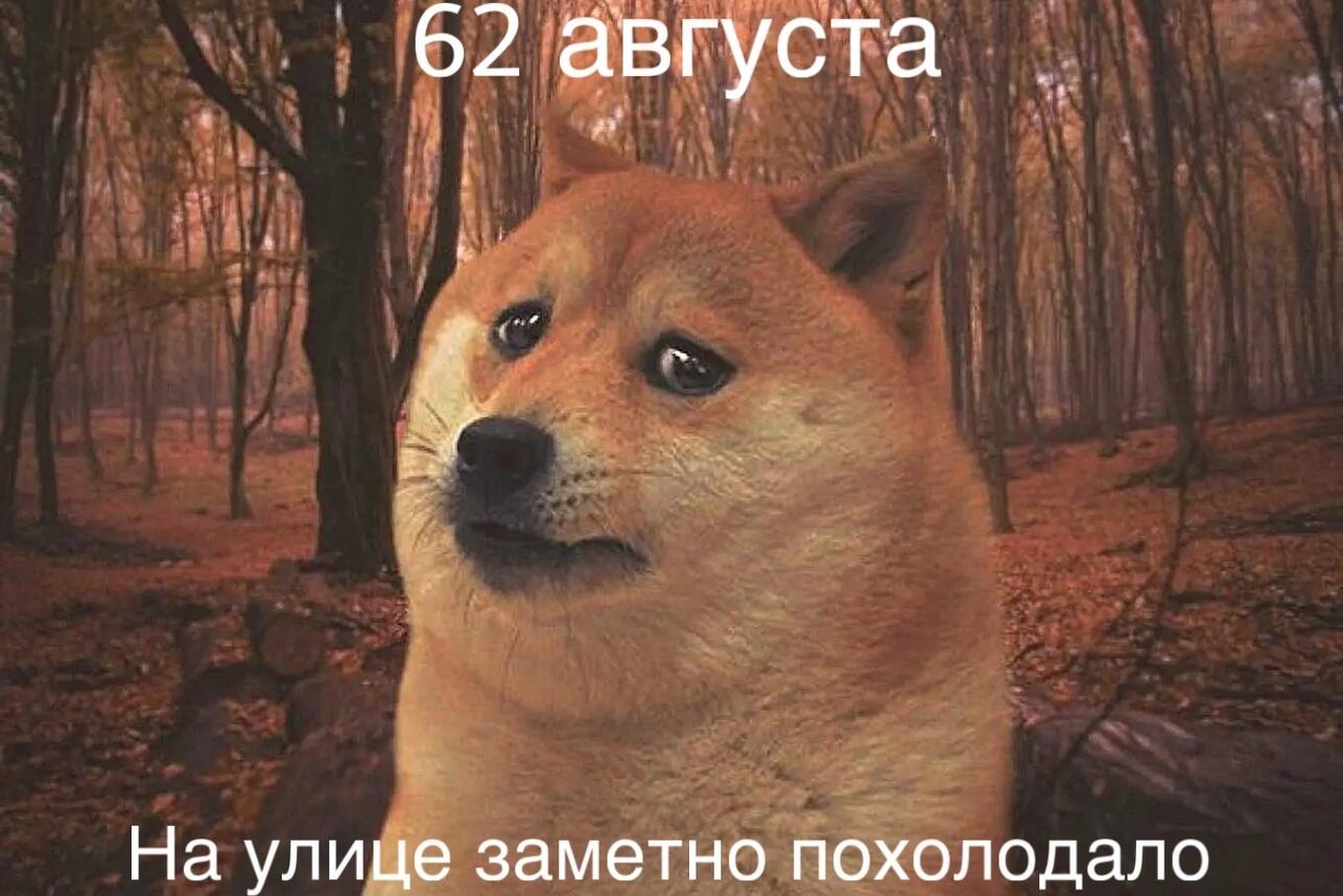 картинки про осень, мемы про осень, приколы про осень, осенние мемы, осенние картинки, юмор про осень