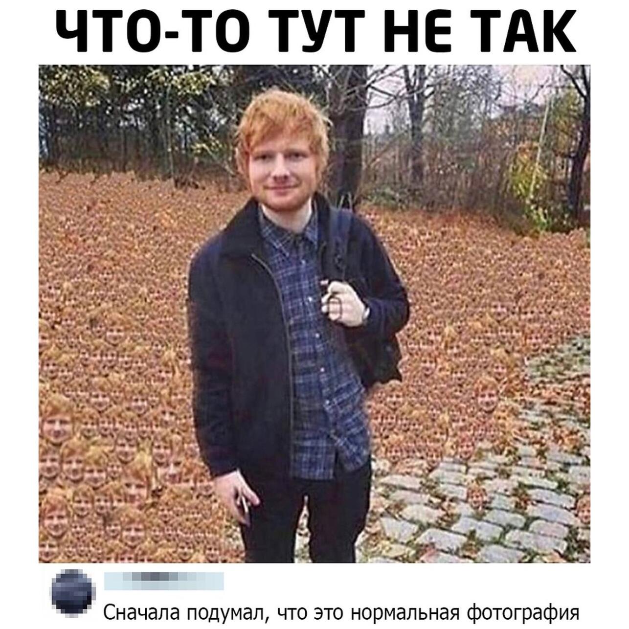 картинки про осень, мемы про осень, приколы про осень, осенние мемы, осенние картинки, юмор про осень