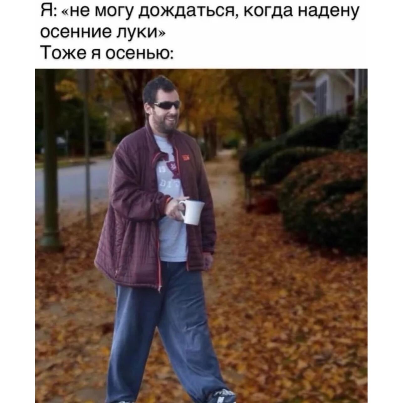 картинки про осень, мемы про осень, приколы про осень, осенние мемы, осенние картинки, юмор про осень