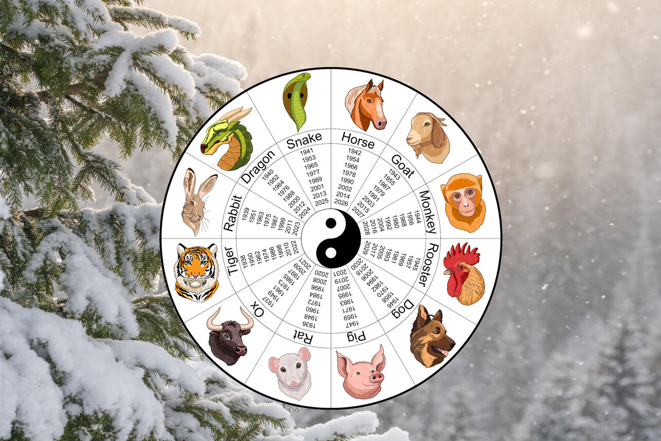 Китайский гороскоп на неделю 18 — 24 декабря. фото