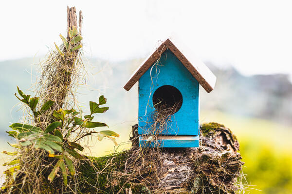 Мастерим скворечник за полчаса без гвоздей