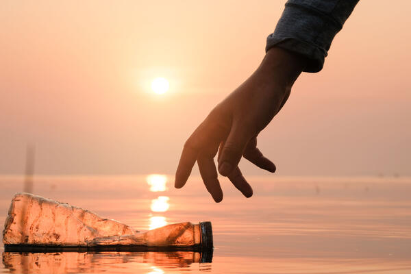 Экологическое воспитание