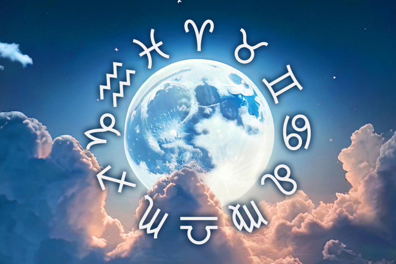     2025     . 