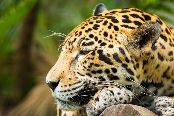 29 ноября: какой сегодня праздник?