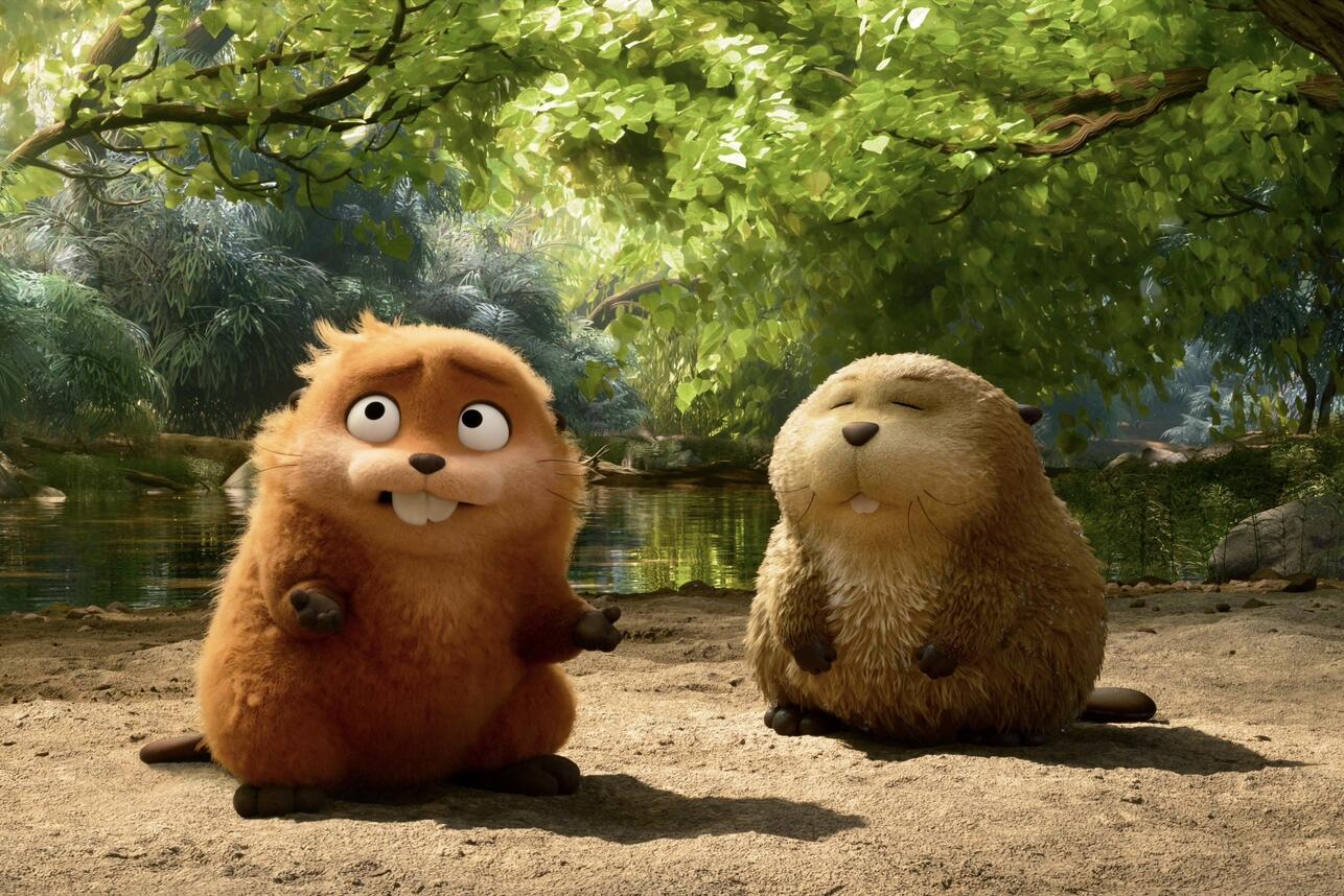 «Прыгуны» фото