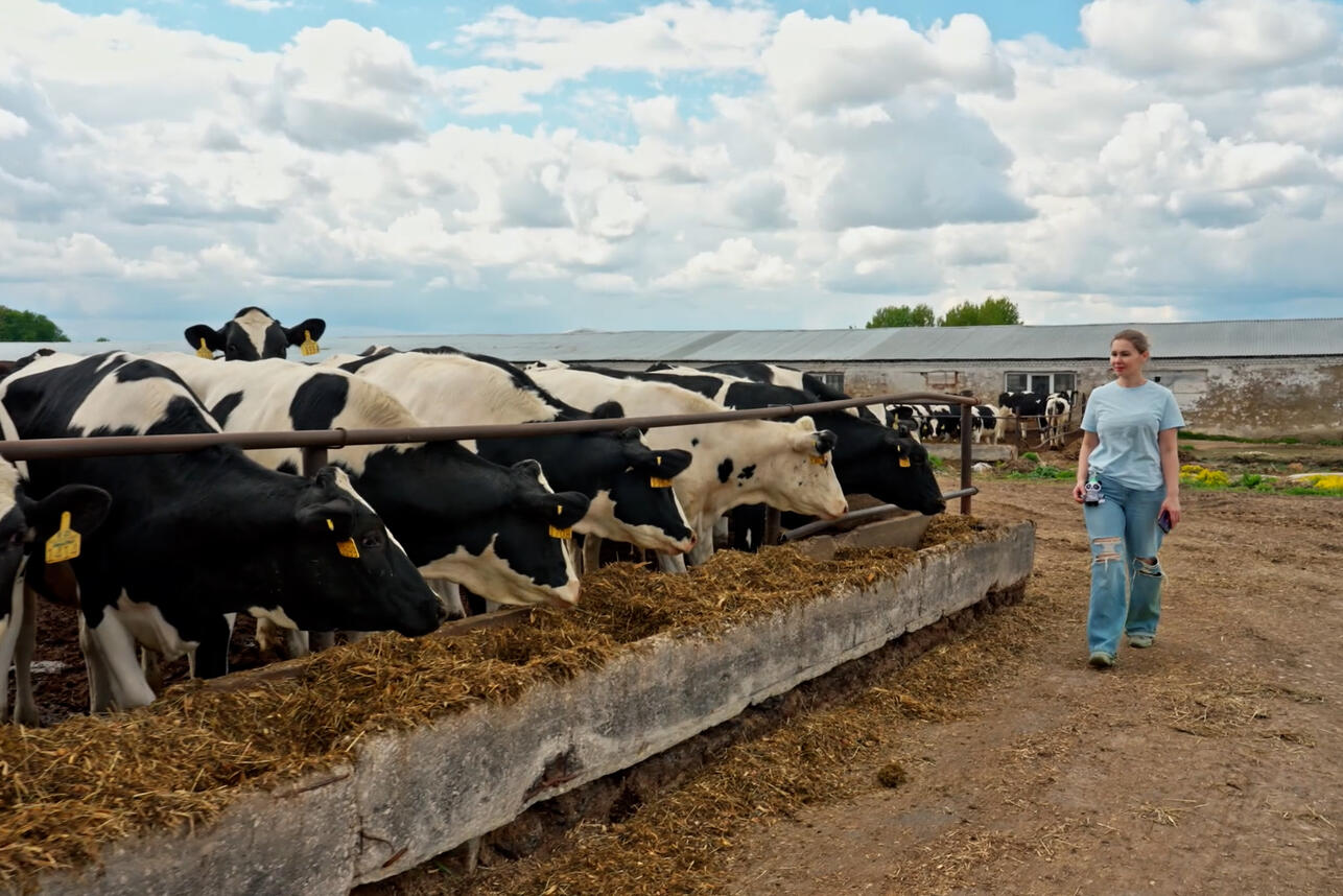 В&laquo;Р&curren;РёР&middot;РёС&Dagger;Р&micro;СЃРєСѓСЋ Р&plusmn;РѕР&raquo;СЊ РјРѕР&para;РЅРѕ Р&middot;Р&deg;РіР&raquo;СѓС&euro;РёС&sbquo;СЊ С&sbquo;Р&deg;Р&plusmn;Р&raquo;Р&micro;С&sbquo;РєР&deg;РјРё. РњРѕСЂР&deg;Р&raquo;СЊРЅСѓСЋ вЂ&rdquo; РЅР&micro;С&sbquo;В&raquo;: РјР&deg;РјРјРѕРїР&raquo;Р&deg;СЃС&sbquo;РёРєР&deg; СЂР&deg;Р&middot;СЂСѓС&euro;РёР&raquo;Р&deg; Р&para;РёР&middot;РЅСЊ РґРѕСЏСЂРєРё РёР&middot; Р&nbsp;СЏР&middot;Р&deg;РЅРё