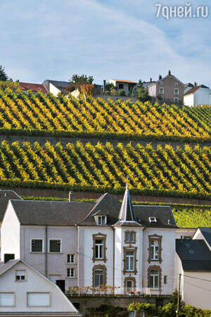 luxembourg lux что это