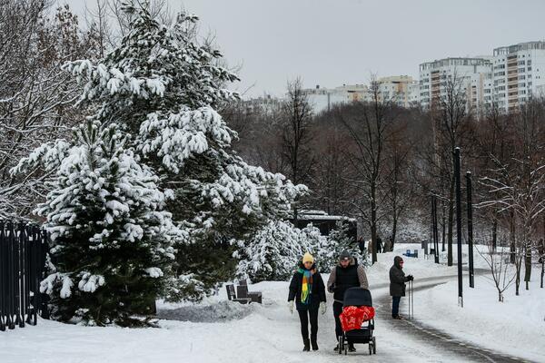 10 сантиметров снега: синоптик предсказал начало настоящей зимы