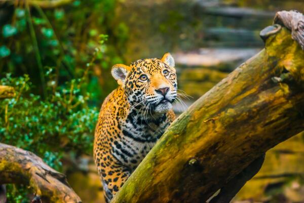 29 ноября: какой сегодня праздник?