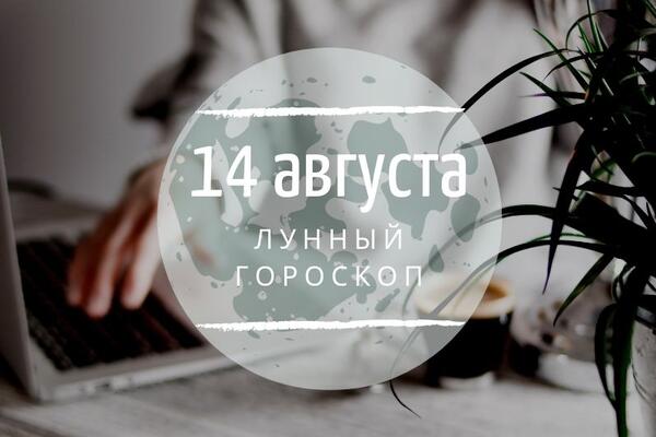    14 , 