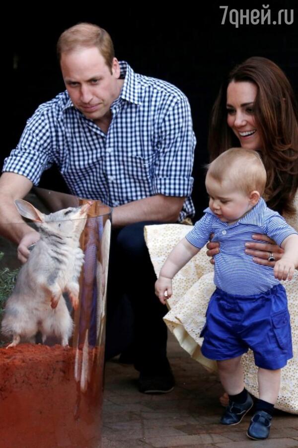 Кейт Миддлтон и принц Уильям вместе с их 8-месячным сыном Джорджем посетили сиднейский зоопарк Taronga Zoo
