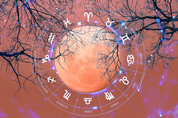 Лунный гороскоп на март 2026 года для всех знаков зодиака