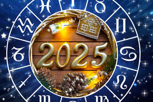    2025     