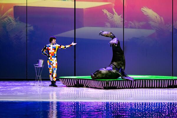 От подводных миров до театра теней: главные детские спектакли марта