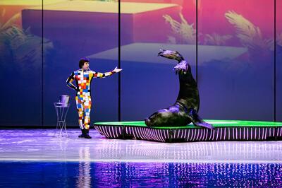 От подводных миров до театра теней: главные детские спектакли марта