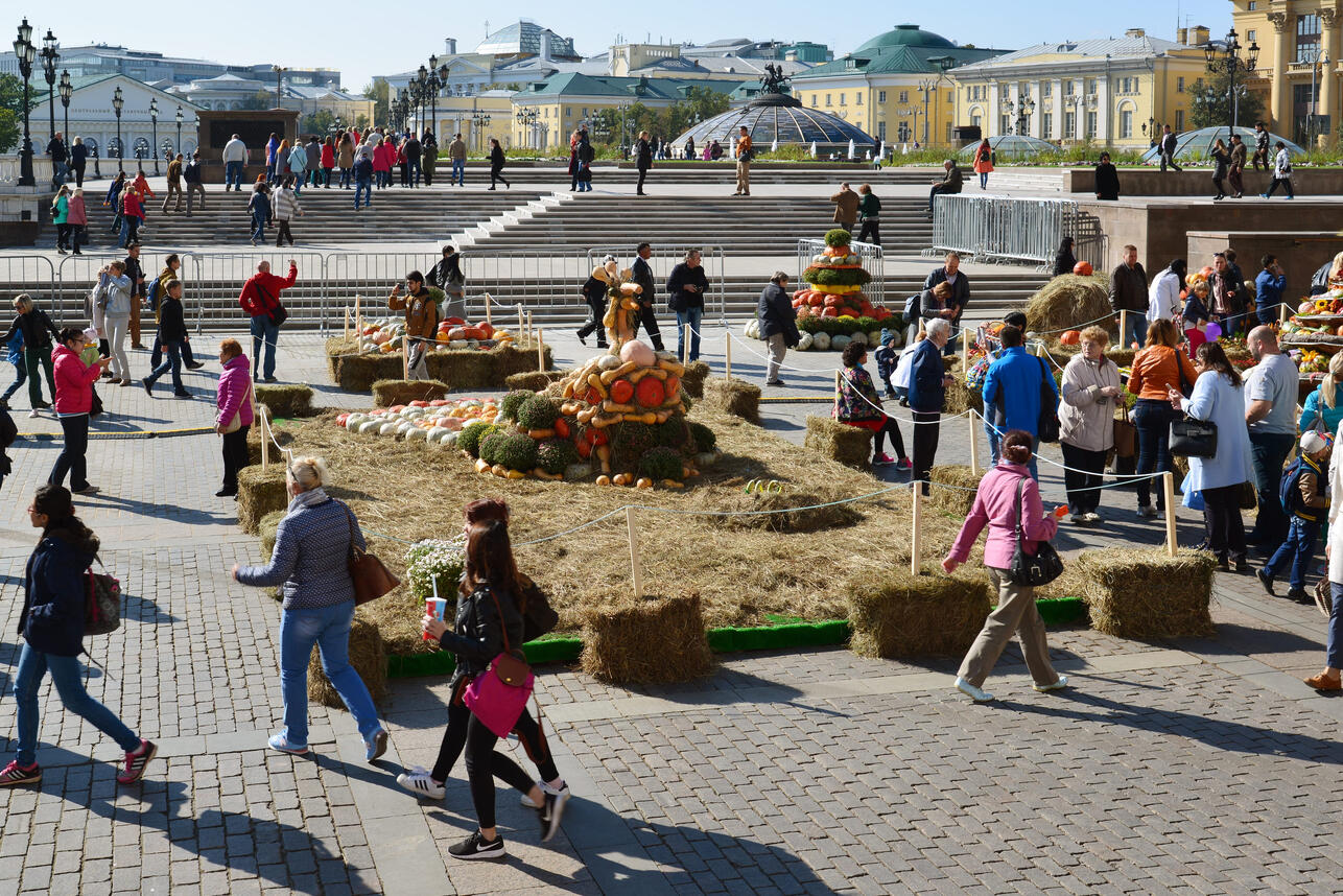 фестивали Москвы лето 2026, что посетить в Москве летом, Сады и огороды Москва 2026, кино под открытым небом Москва, Московское чаепитие фестиваль, фестиваль уличной еды ВДНХ, гастрономические ярмарки Москва, Музеон кинопоказы, куда сходить в Москве, летние мероприятия Москва