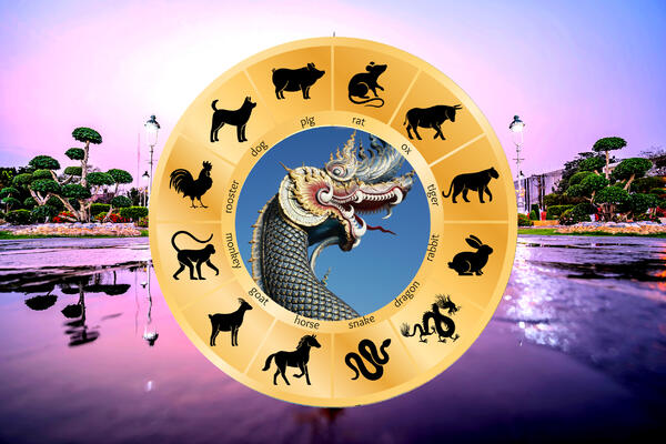 Тайский гороскоп на неделю 4 — 10 ноября для всех знаков восточного зодиака