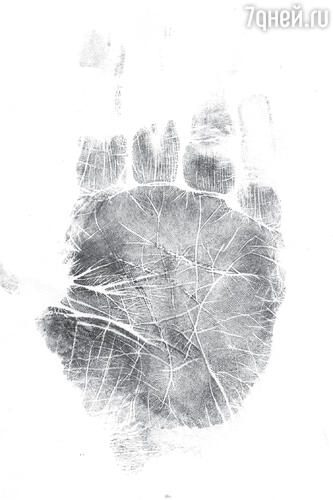 Рис. 1