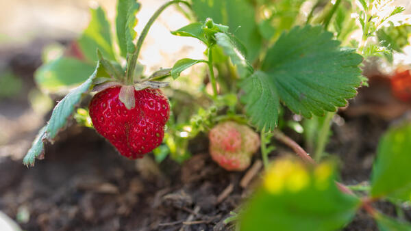 ����������&nbsp; ������: ��� ����� ������ ������� �� ������� � ���, ����� �������� ������ �������