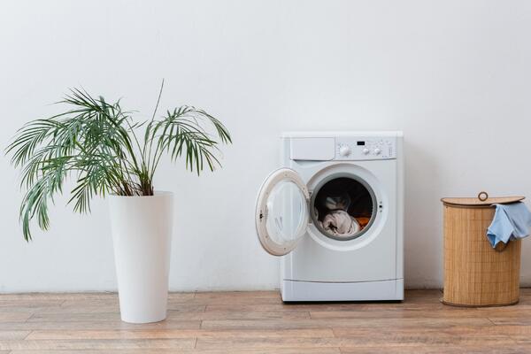 Простые, но эффективные правила: как продлить жизнь вашей стиральной машинки  