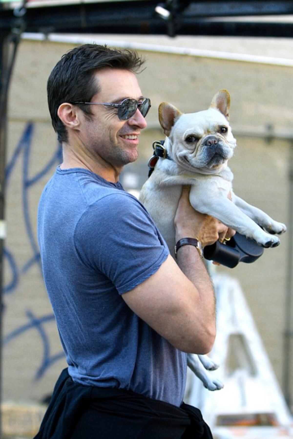 celebrities with french bulldog