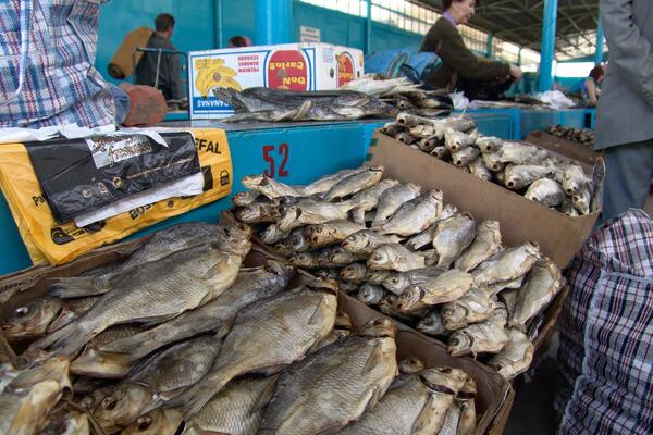 Поедем, поедим: названы города России для гастрономического туризма