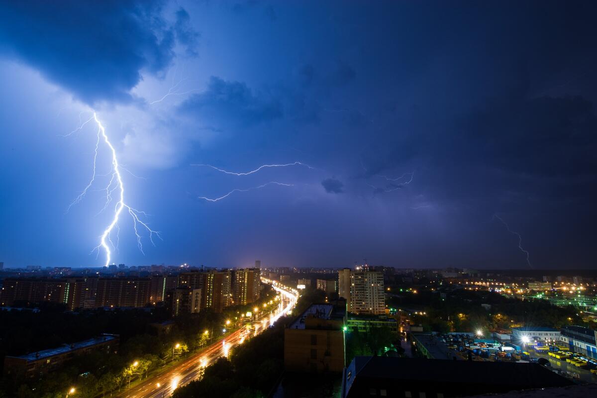 Что делать, если собака боится грозы и фейерверка - 7Дней.ру