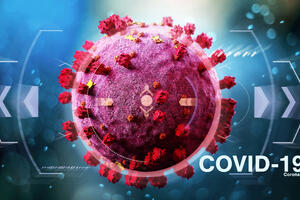 Хроника пандемии: откуда взялся коронавирус и как остановить его распространение