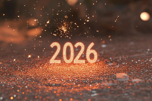     :        2026