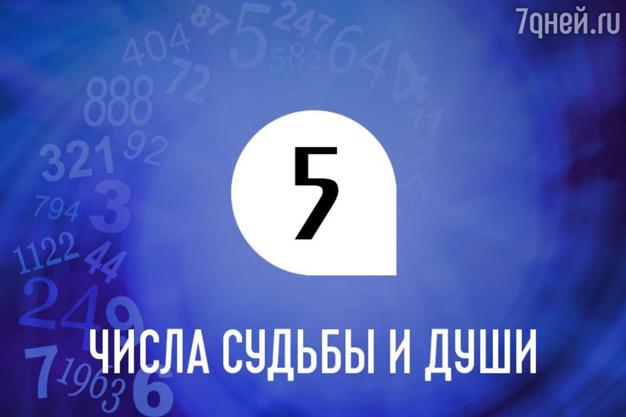 Числа души и судьбы 5: какие профессии вам подходят больше всего - 7Дней.ру
