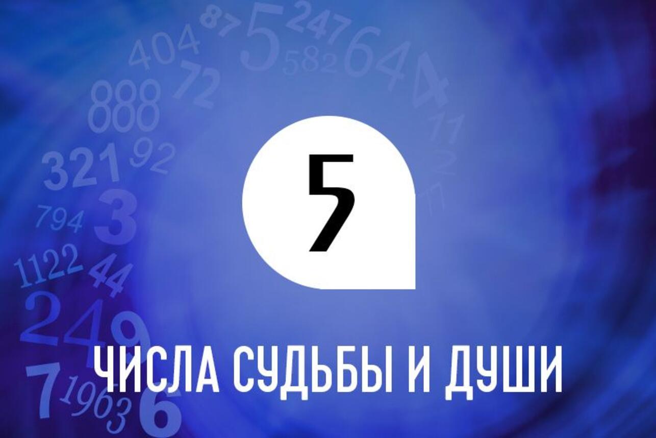 Числа души и судьбы 5: какие профессии вам подходят больше всего - 7Дней.ру