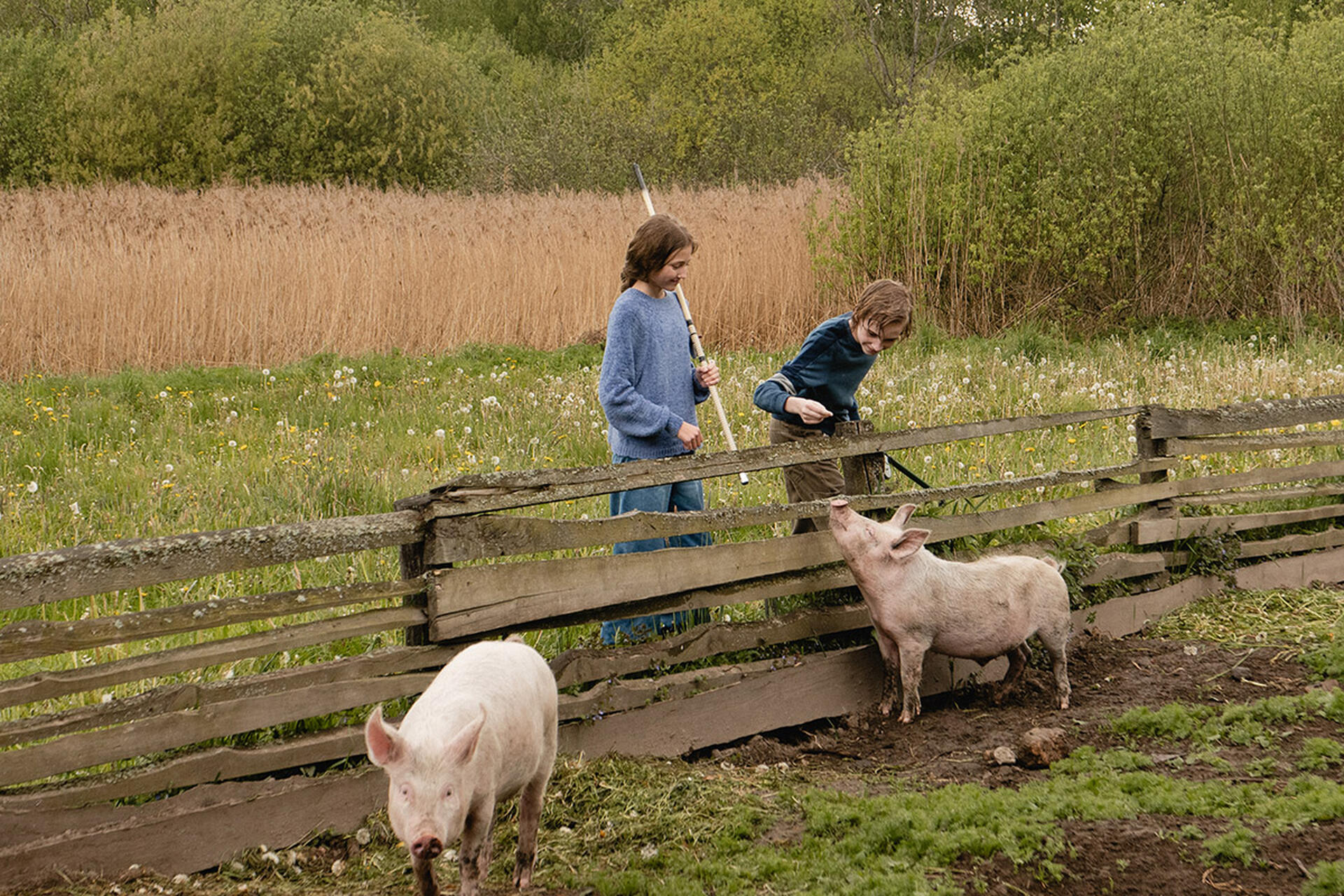 комедия «Родительский дом»
