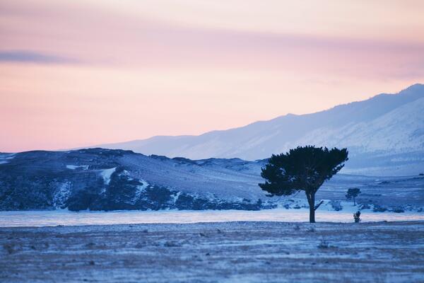 11 января: какой сегодня праздник?