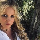 ������ ����� ���������� � ����� ����� � ��������: ���-�� ����� �� ���