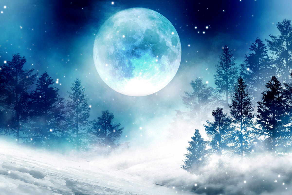 Лунный календарь стрижек на январь 2024 года: благоприятные и неблагоприятные дни